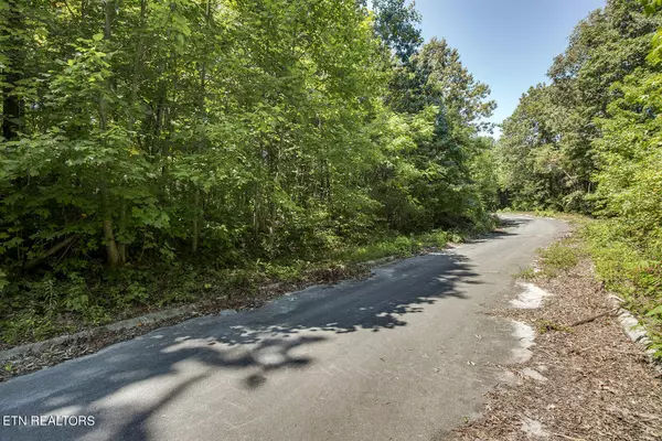 Niota, TN 37826,Lot 168 County Road 316