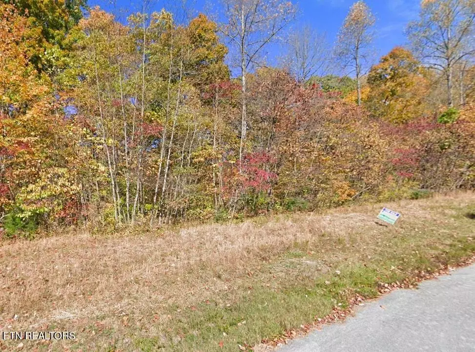 New Tazewell, TN 37825,0 Tanzanite Trail Lot 240 Tr