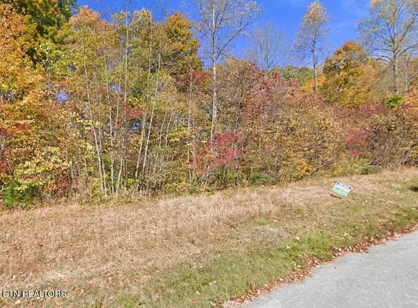 0 Tanzanite Trail Lot 240 Tr, New Tazewell, TN 37825