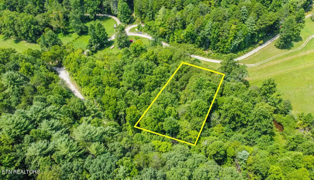 Tellico Plains, TN 37385,13677 New Hwy 68