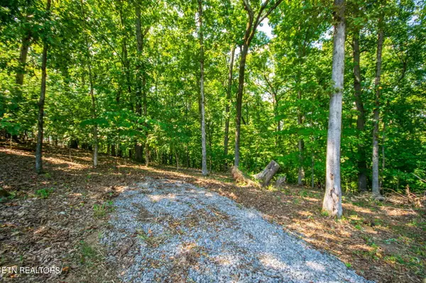 Louisville, TN 37777,Lots 14&17 Channel Oaks DR