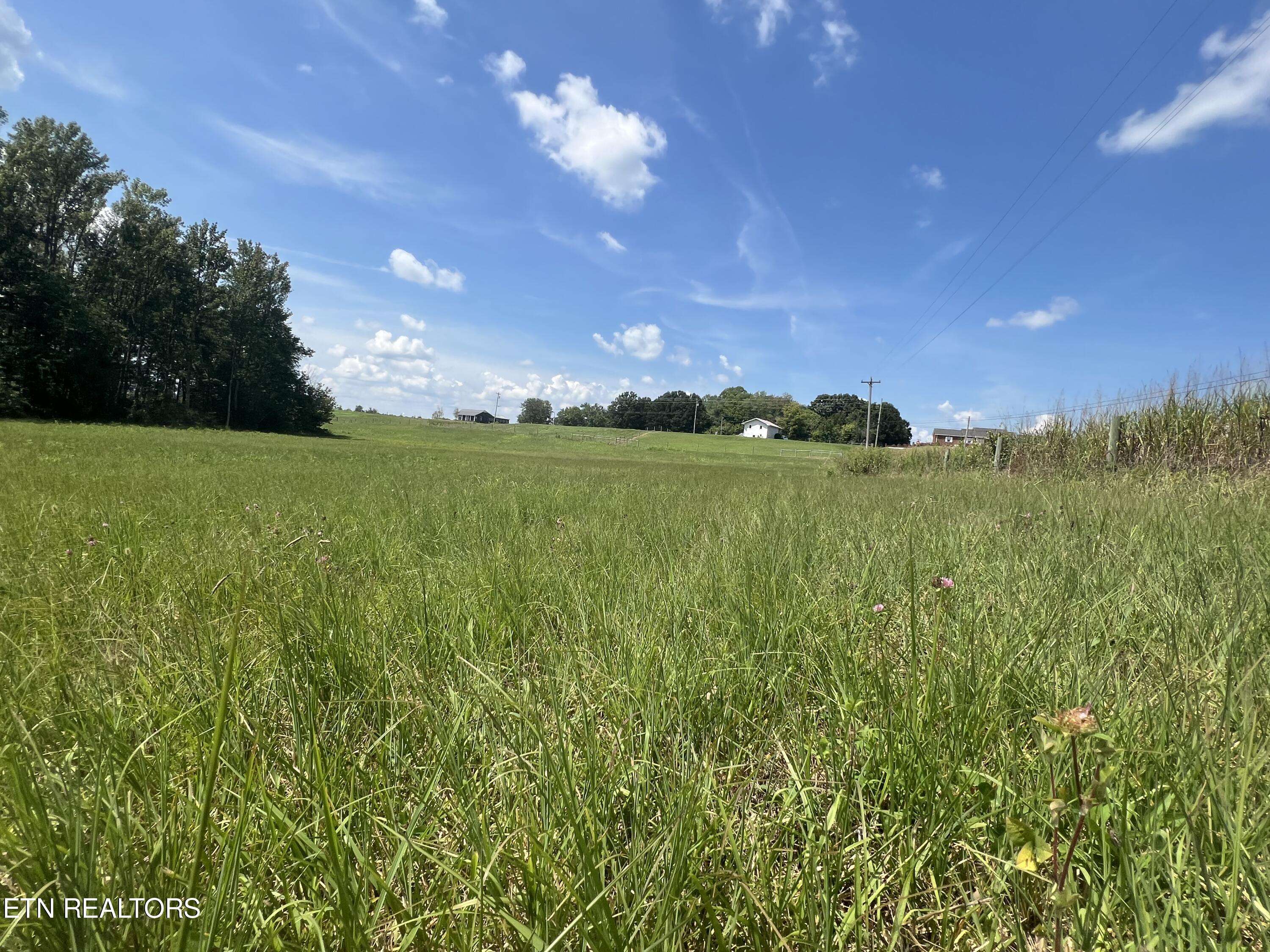 10.02 Ac. Gum Springs Mountain Rd, Walling, TN 38587