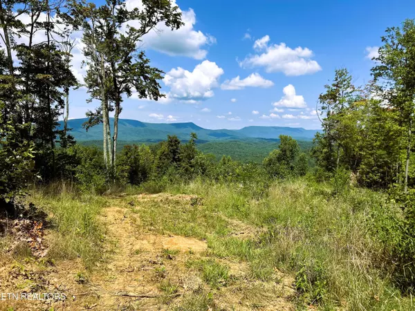 31.54 acre Chestnut Mountain Road, Reliance, TN 37369