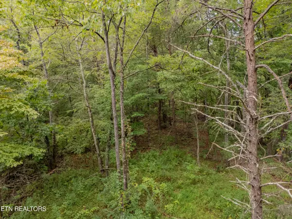 Harriman, TN 37748,Lot 6 Black Oak Rd