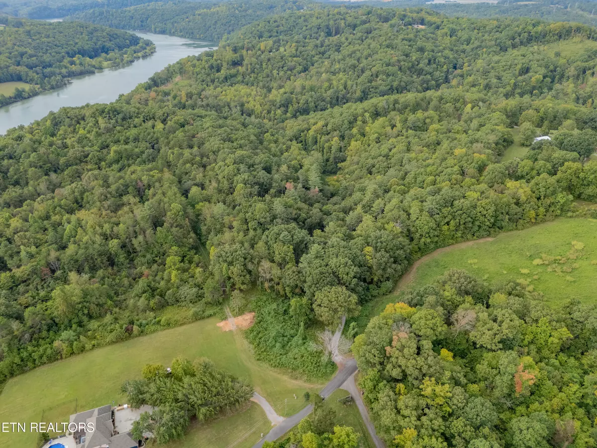 Harriman, TN 37748,Lot 6 Black Oak Rd