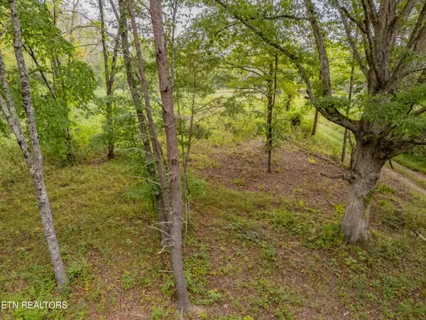 Harriman, TN 37748,Lot 6 Black Oak Rd