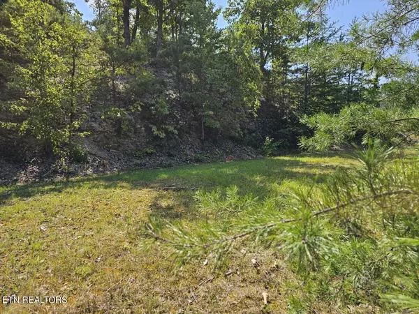 Sevierville, TN 37876,Lot 9-A Village CIR