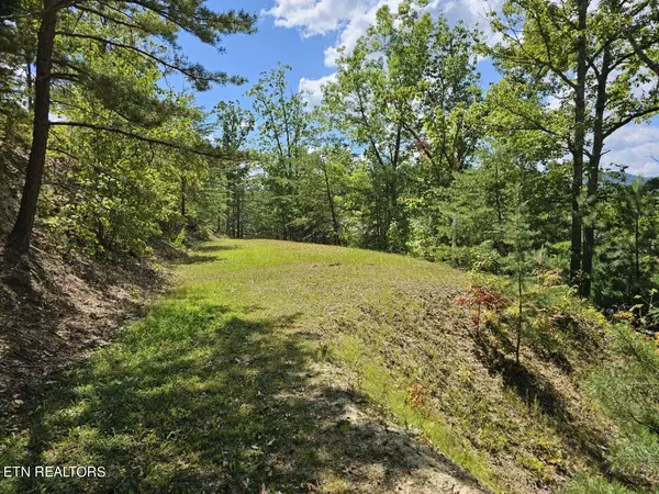 Sevierville, TN 37876,Lot 9-A Village CIR