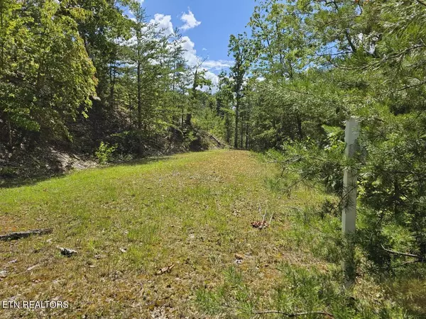 Sevierville, TN 37876,Lot 9-A Village CIR