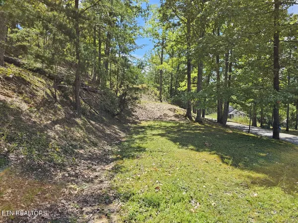 Sevierville, TN 37876,Lot 7-AR Village CIR