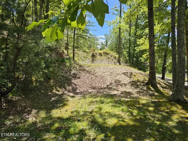 Sevierville, TN 37876,Lot 7-AR Village CIR