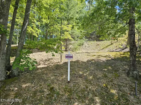 Sevierville, TN 37876,Lot 7-AR Village CIR