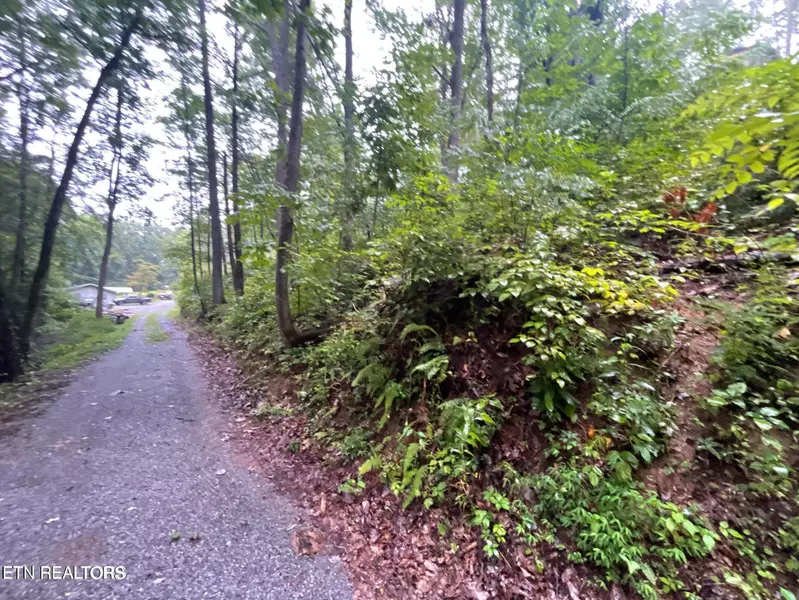 Little Cove Rd Off, Sevierville, TN 37862