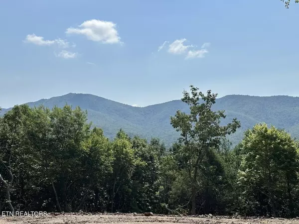 3.86 Acres Harold Witt Rd, Tellico Plains, TN 37385