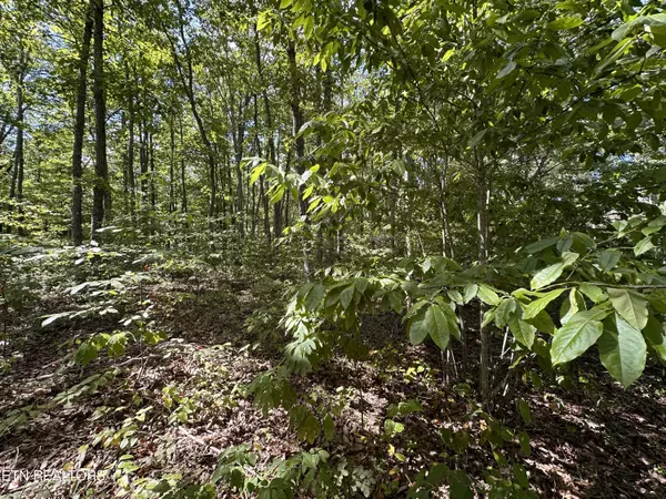 Jamestown, TN 38556,Lot 125 Raspberry LN