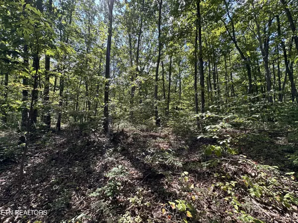 Jamestown, TN 38556,Lot 125 Raspberry LN