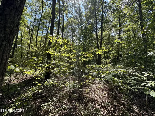 Jamestown, TN 38556,Lot 125 Raspberry LN