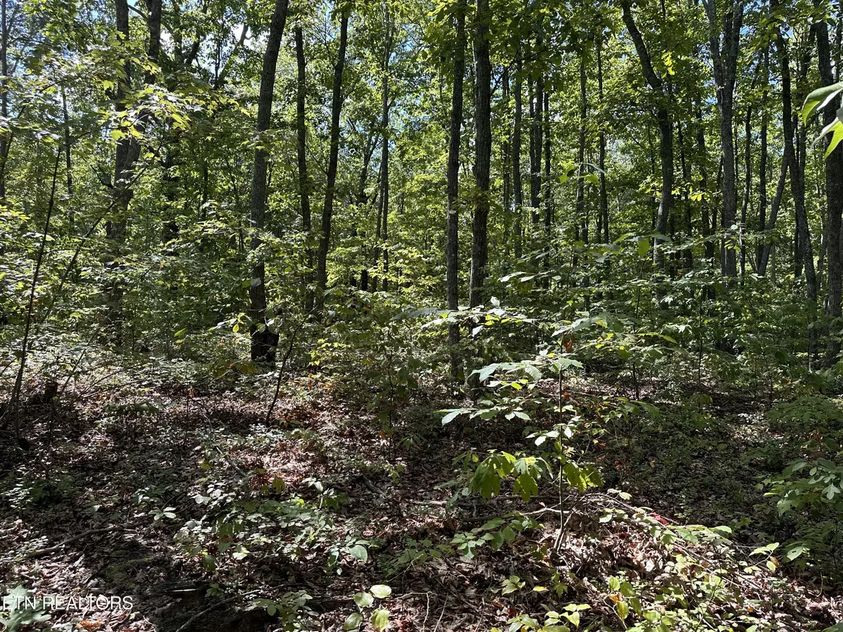 Jamestown, TN 38556,Lot 125 Raspberry LN