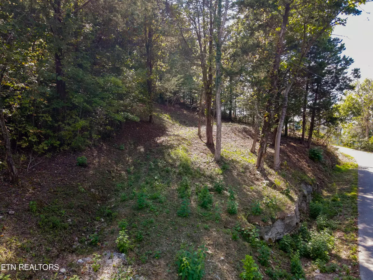 Silver Point, TN 38582,Lot 87 Harbor Pointe DR