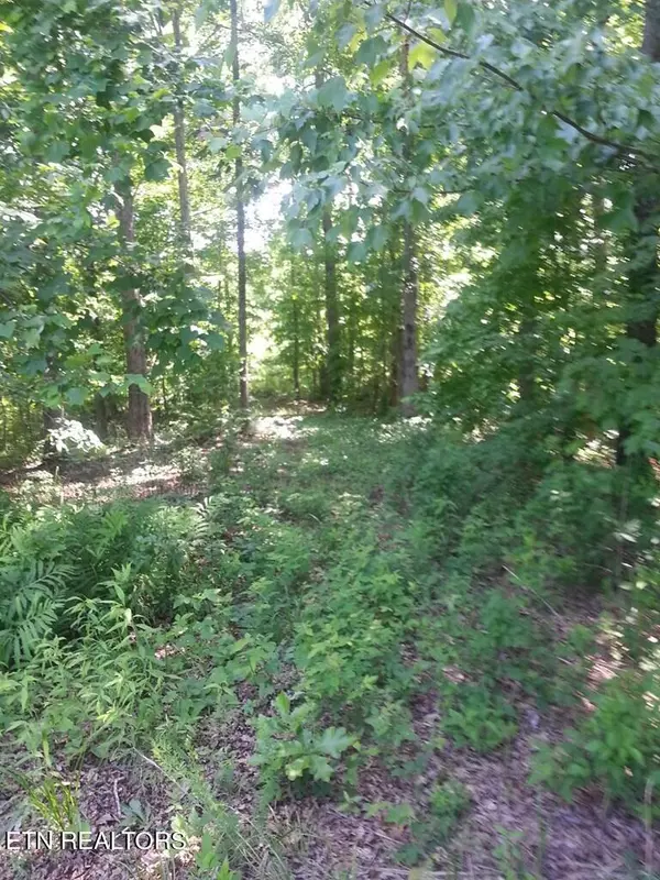 Sparta, TN 38583,Lot 5 Coves Point Rd