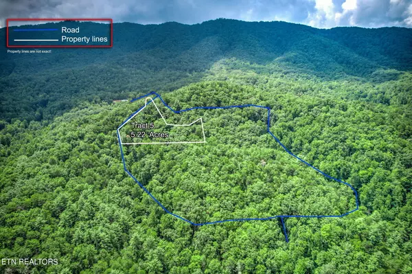 Sevierville, TN 37876,Paint Horse Way Lot 5