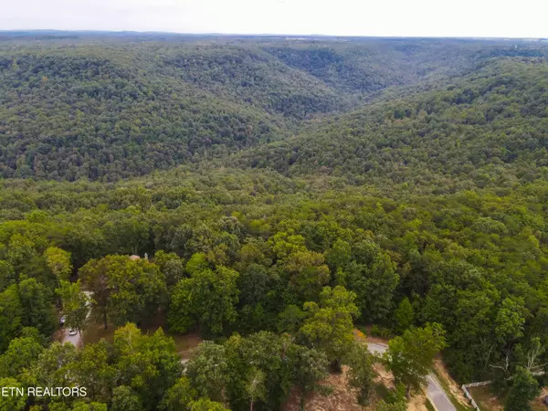 Spencer, TN 38585,LOT 16 Eagles Bluff CIR