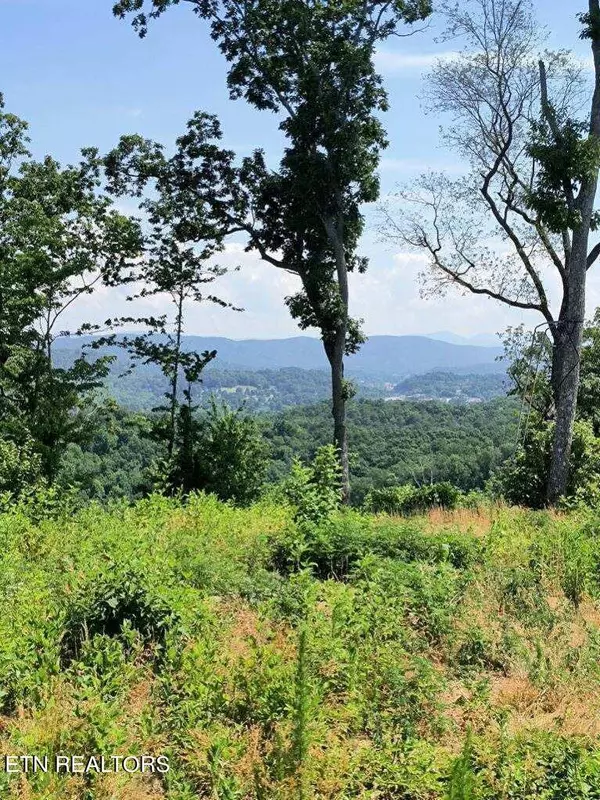 Ashe Cabin Hollow Rd, Harriman, TN 37748