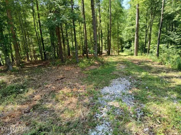 Harriman, TN 37748,Ashe Cabin Hollow Rd