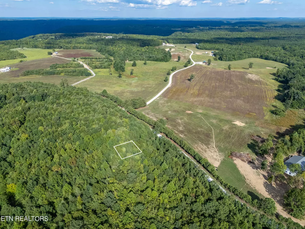 Rock Island, TN 38581,0.77 AC Bluff Line LN