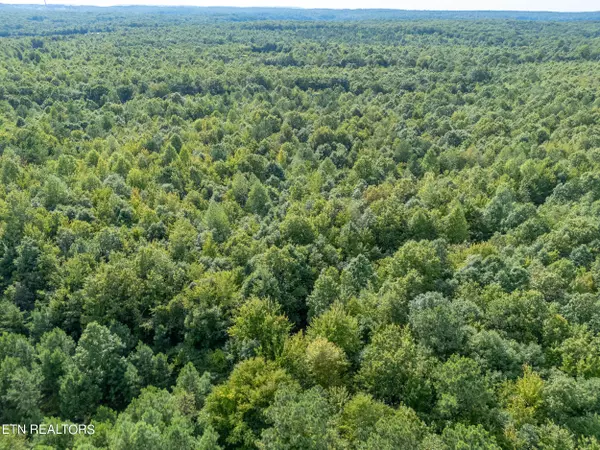 Rock Island, TN 38581,0.77 AC Bluff Line LN