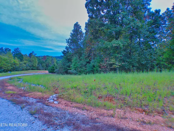 Lafollette, TN 37766,Clearwater View LN