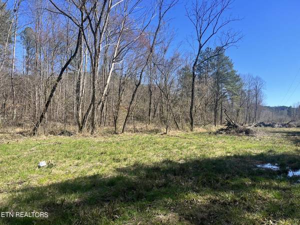 Sloan Rd Lot 12, Vonore, TN 37885