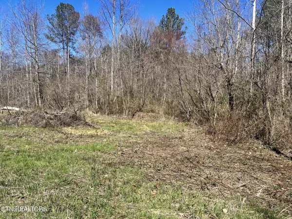 Vonore, TN 37885,Sloan Rd Lot 13