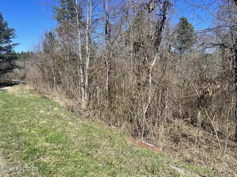 Sloan Rd Lot 16, Vonore, TN 37885