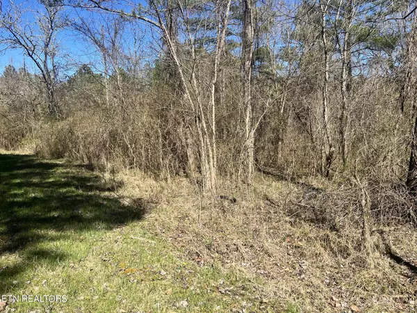 Vonore, TN 37885,Sloan Rd Lot 16