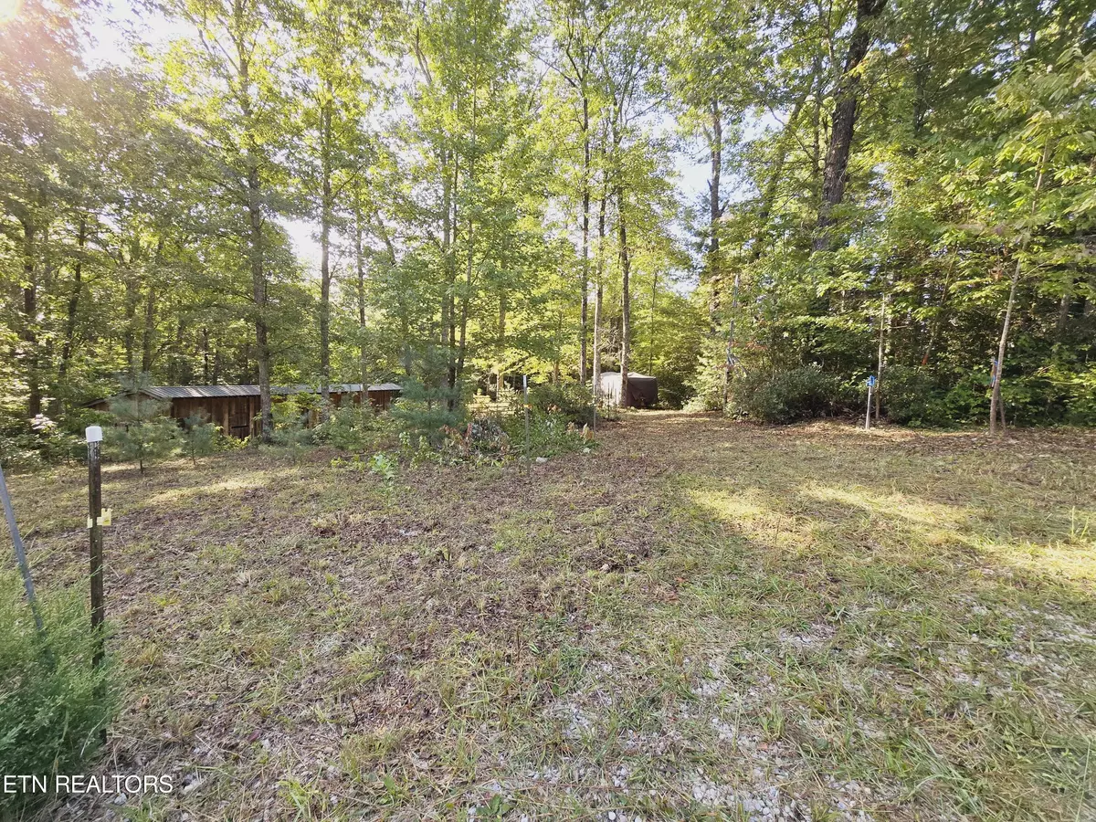 Oneida, TN 37841,Bear Hollow Trl. Rd