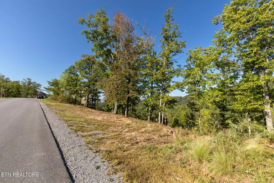 Lot 167 Smoky Bluff Tr, Sevierville, TN 37862