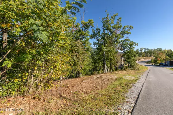 Sevierville, TN 37862,Lot 167 Smoky Bluff Tr