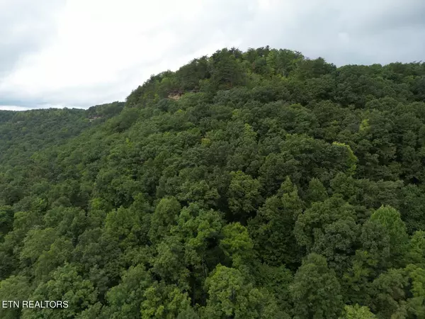 Pall Mall, TN 38577,Stewart Creek LN