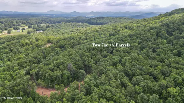 Tellico Plains, TN 37385,Tract 2 Mecca Pike