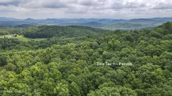 Tellico Plains, TN 37385,Tract 2 Mecca Pike