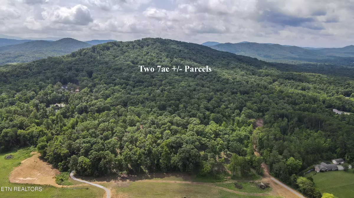 Tellico Plains, TN 37385,Tract 2 Mecca Pike