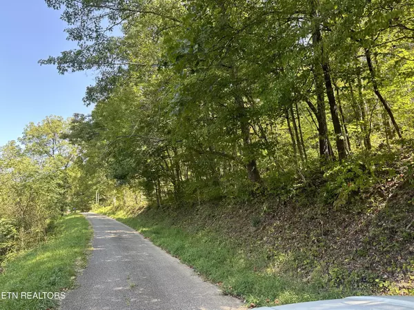 Low Gap Rd, Lafollette, TN 37766