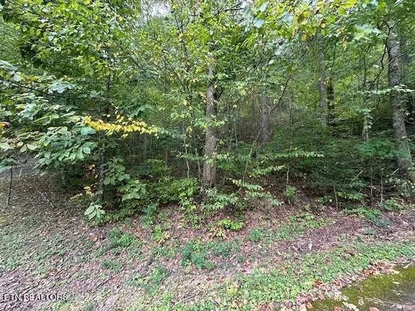 Lot 63 R Bluestone WAY, Townsend, TN 37882