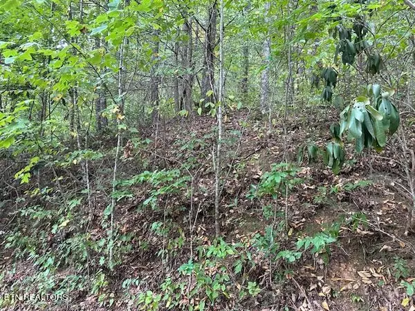 Townsend, TN 37882,Lot 63 R Bluestone WAY