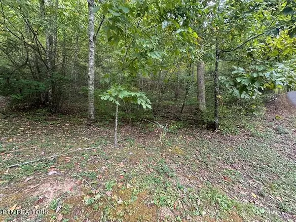 Townsend, TN 37882,Lot 63 R Bluestone WAY