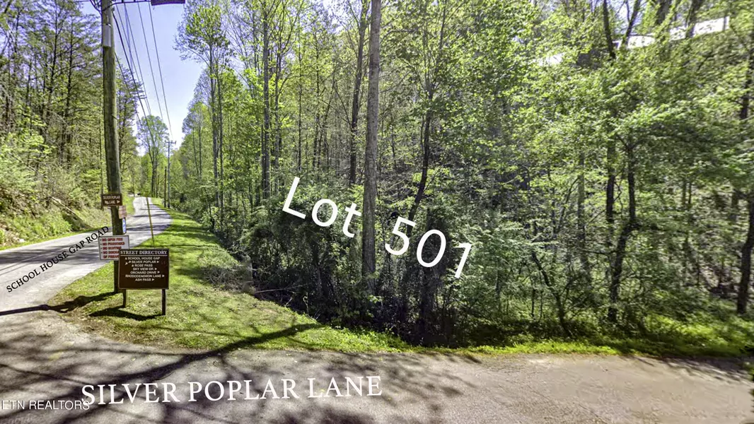 Silver Poplar LN, Sevierville, TN 37876