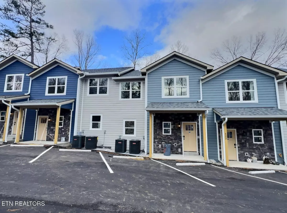 Rocky Top, TN 37769,522 Lindsey Mill Circle #3