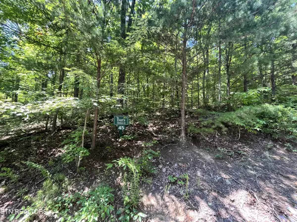 Sevierville, TN 37862,Lot 45 Patriot LN