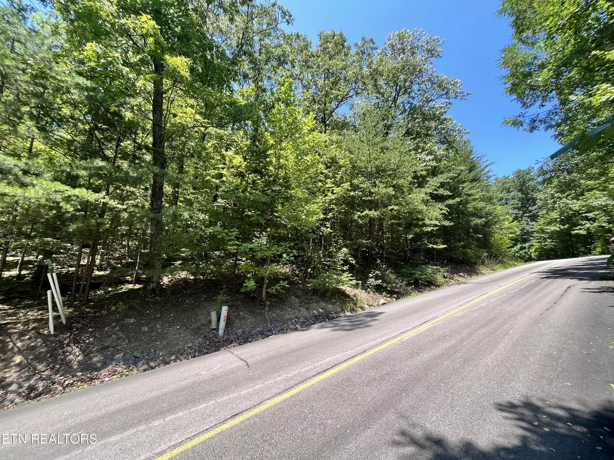 Sevierville, TN 37862,Lot 45 Patriot LN